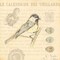 Bird IV Poster Print by Stephanie Marrott - Item # VARPDXSM7985